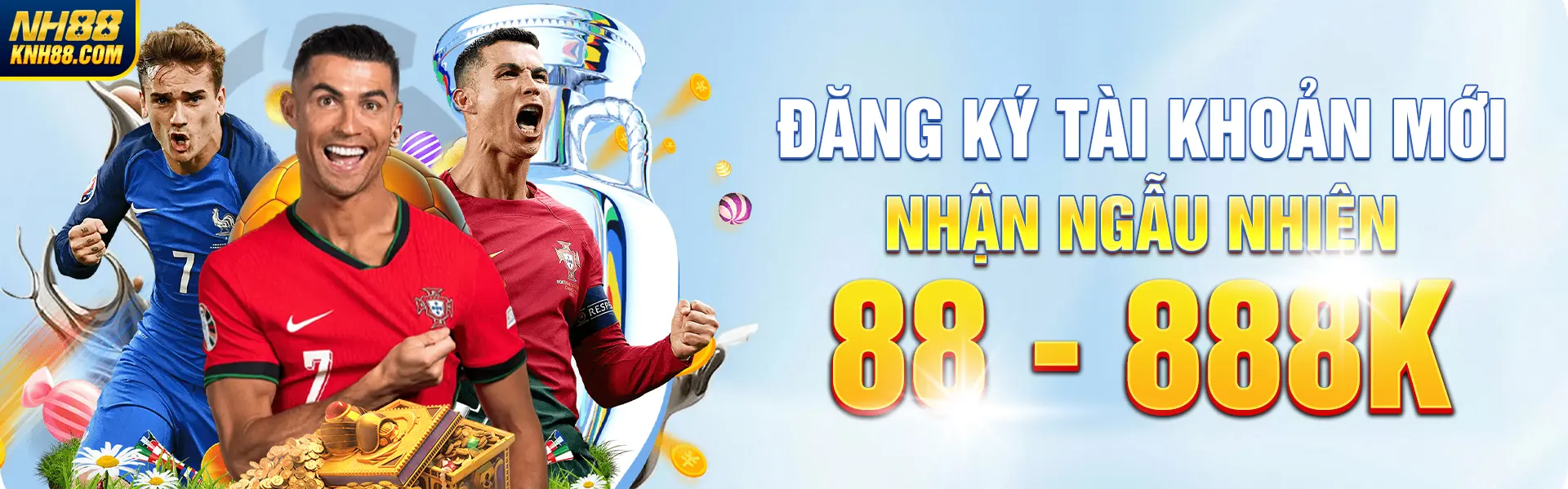 Banner NH88