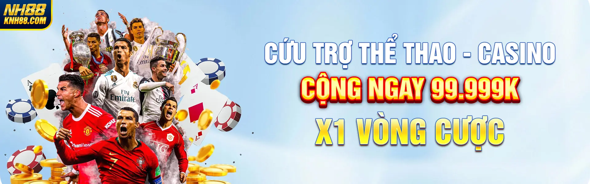 Banner NH88
