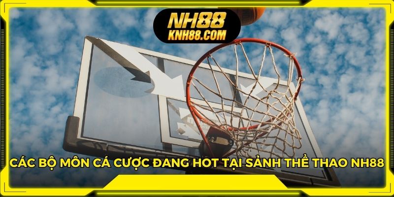 Các bộ môn cá cược đang hot tại sảnh thể thao NH88