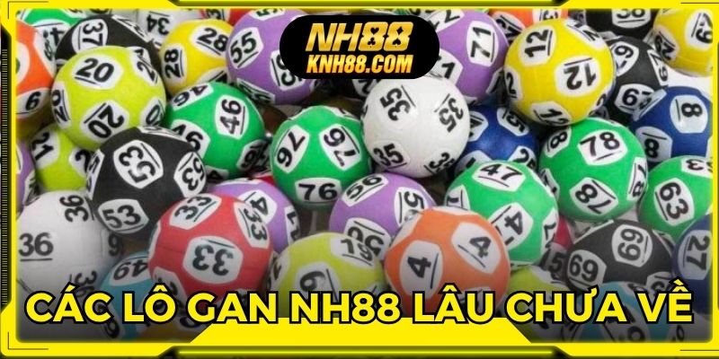 Các lô gan NH 88 lâu chưa về chính xác