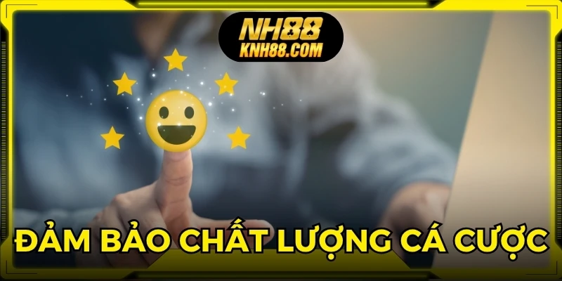 Giấy phép kinh doanh từ Curacao eGaming nhằm đảm bảo chất lượng cá cược