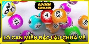 Lô Gan Miền Bắc Lâu Chưa Về Với Thống Kê Mới Nhất 2025