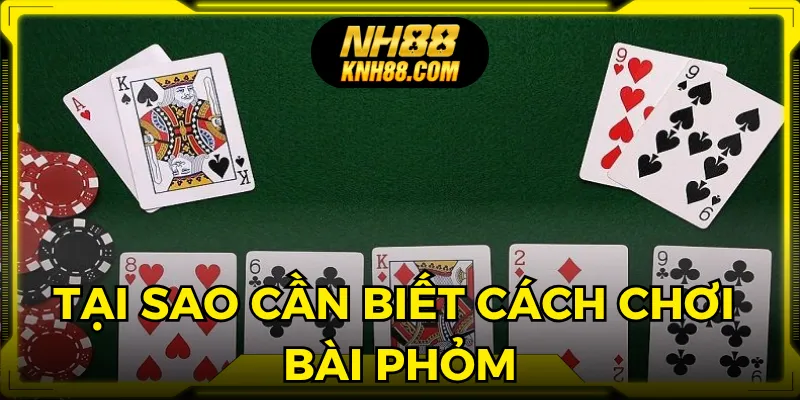 Người chơi tự tin đặt cược khi biết cách chơi bài phỏm