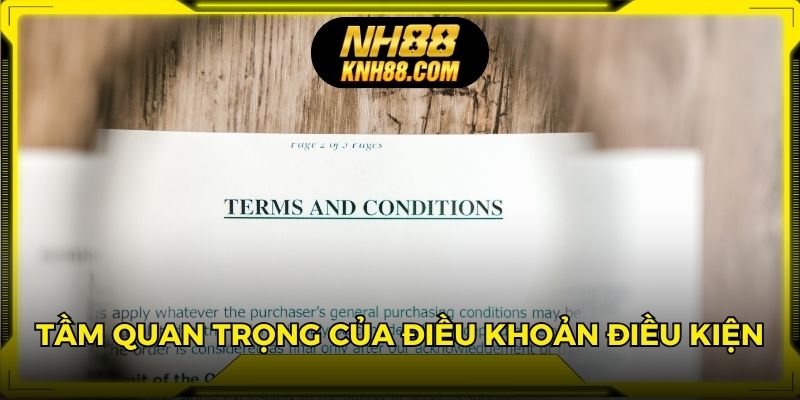 Tầm quan trọng của điều khoản điều kiện